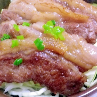 牛カルビの柚子味噌丼